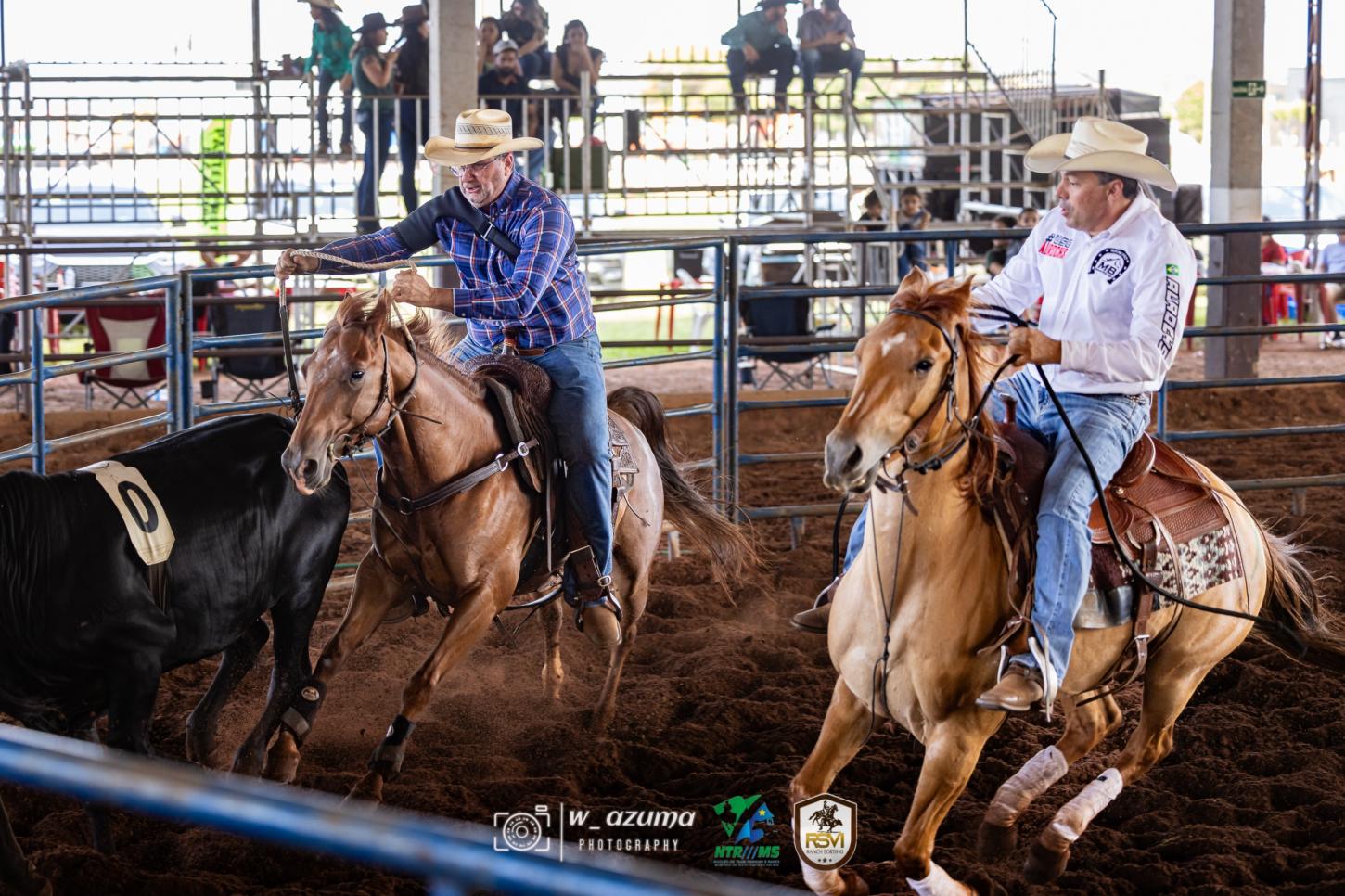 Final do Ranch Sorting coloca Nova Andradina como referência do esporte equestre