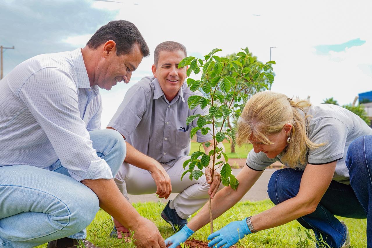 Projeto Bosque dos Ipês reforça compromisso ambiental em Nova Andradina