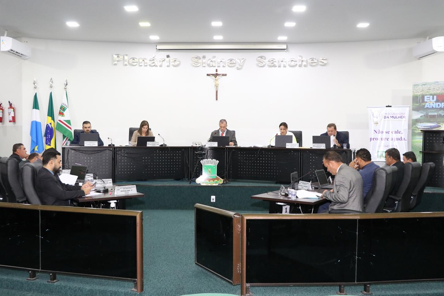 Câmara se posiciona contra interrupções no fornecimento de energia elétrica