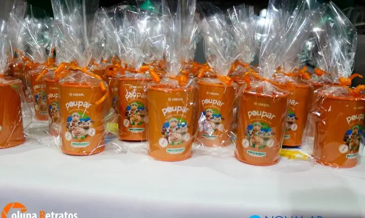 Alunos do Anglo Nova Andradina aprendem sobre finanças e cooperação através do projeto “Mesadinha e sua Turma” da Cresol 