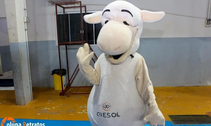 Alunos do Anglo Nova Andradina aprendem sobre finanças e cooperação através do projeto “Mesadinha e sua Turma” da Cresol 